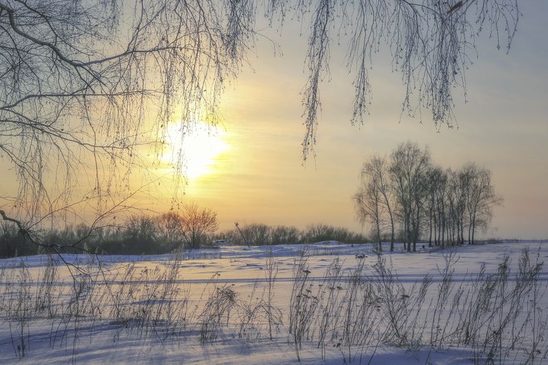 зима,пейзаж.закат, Вот такая спящая веснаphoto preview