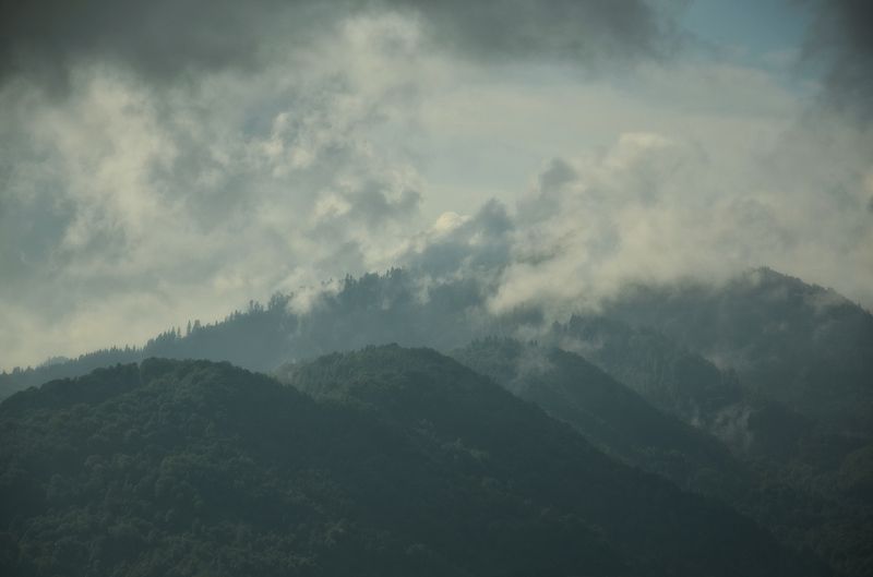 Transylvanian dreamsphoto preview