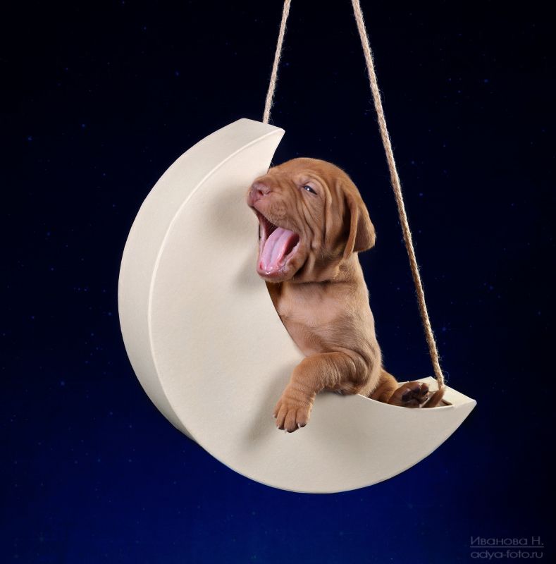 Спокойной ночи)photo preview