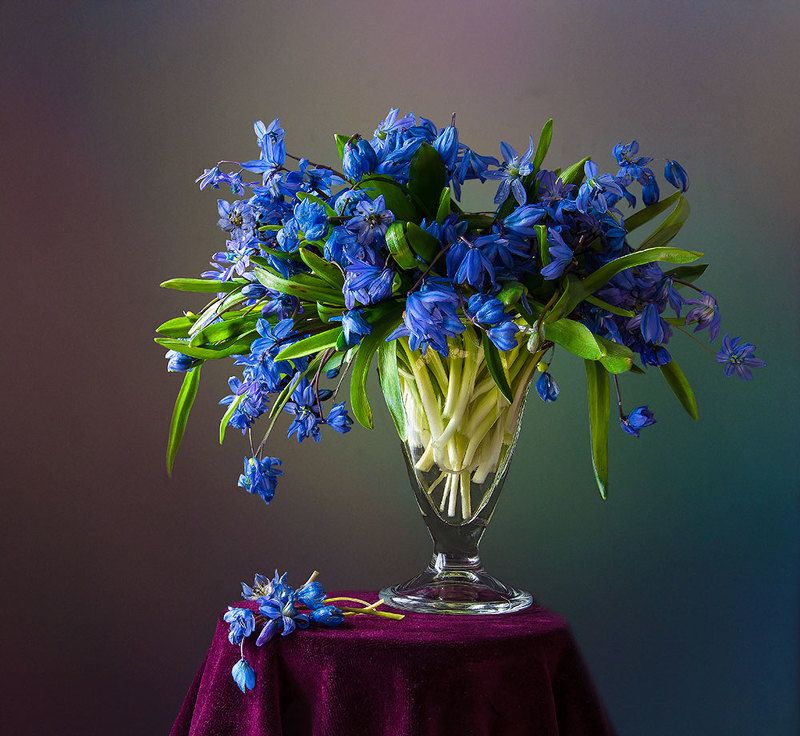 красивый натюрморт с подснежниками,цветы,букет,искусство,творчество,художественное фото,костюченко людмила. Букетик пролесков.photo preview