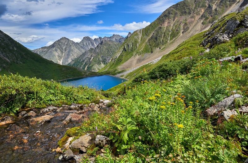 Ручейphoto preview