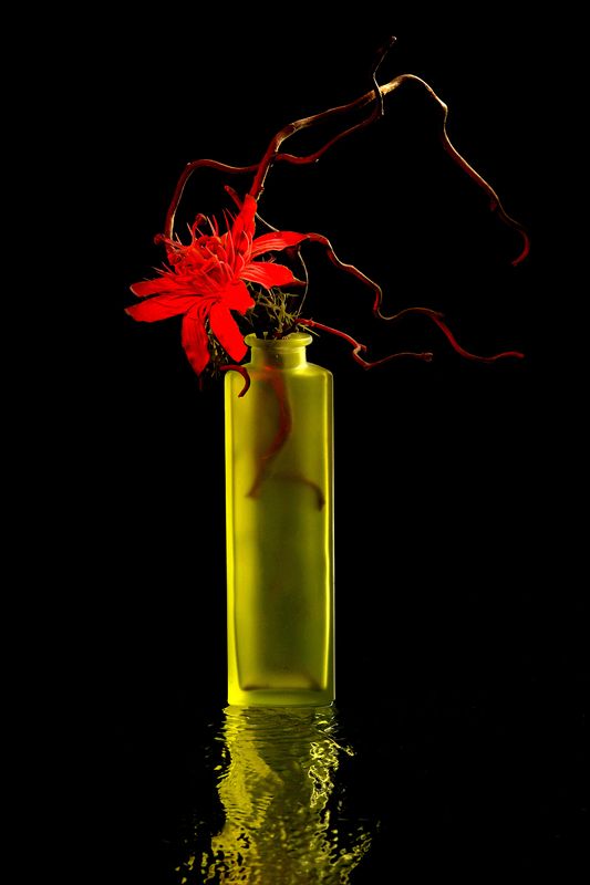 Вода, зеркало,цветокphoto preview