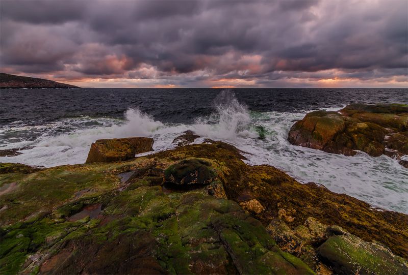 природа, пейзаж, север, кольский, море, панорама, тундра, лето, берег, прибой, териберка Баренцево море. Териберка.photo preview