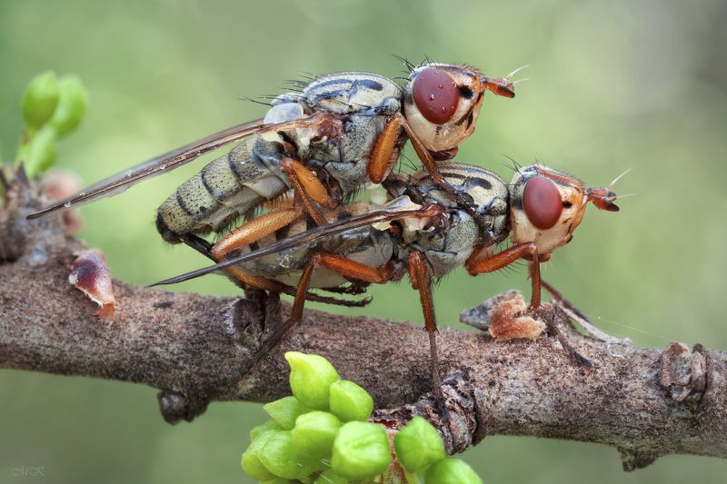 Вот и веснаphoto preview