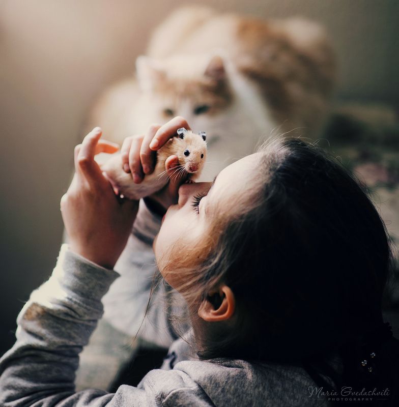 Friendsphoto preview