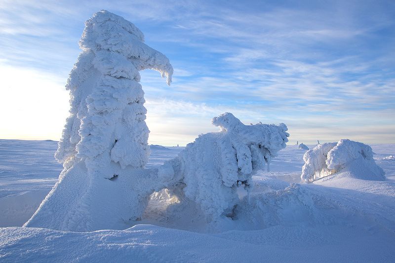 Zimowe wariacjephoto preview