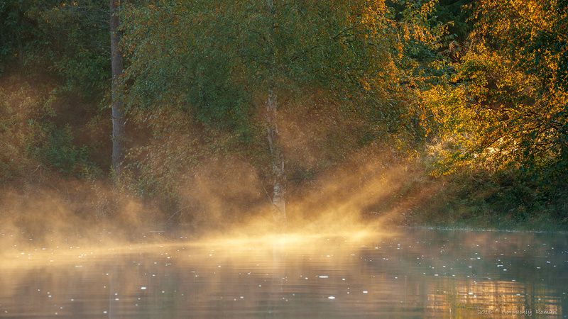 великий двор,вологодчина,кема,север,лето, Утренний луч.photo preview