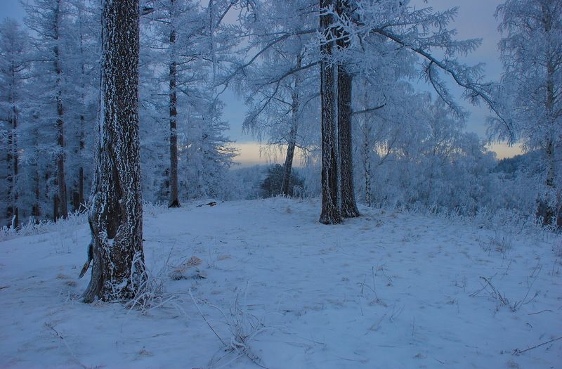 Стужа...photo preview