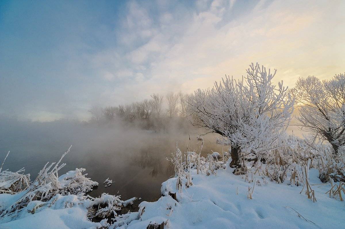 , Олег Логунов