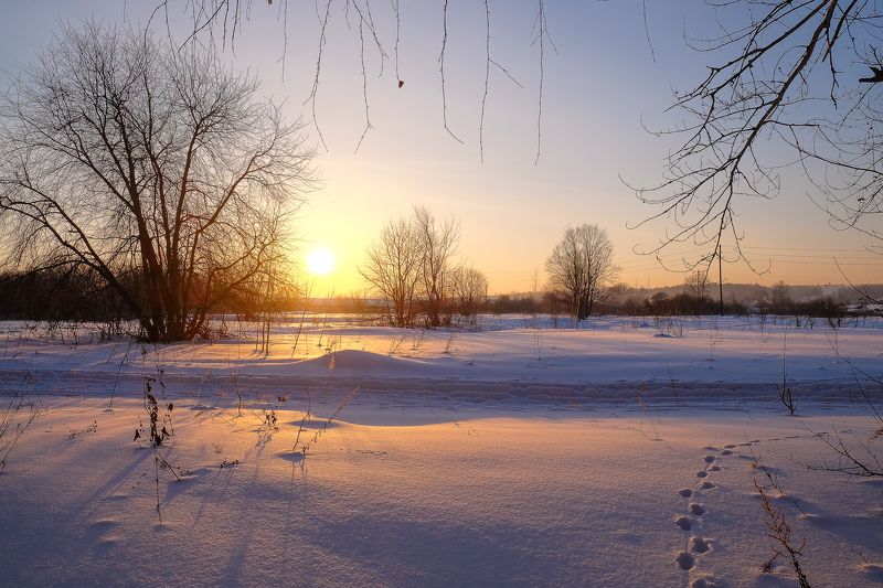 зима закат зимний. закат. природа.photo preview