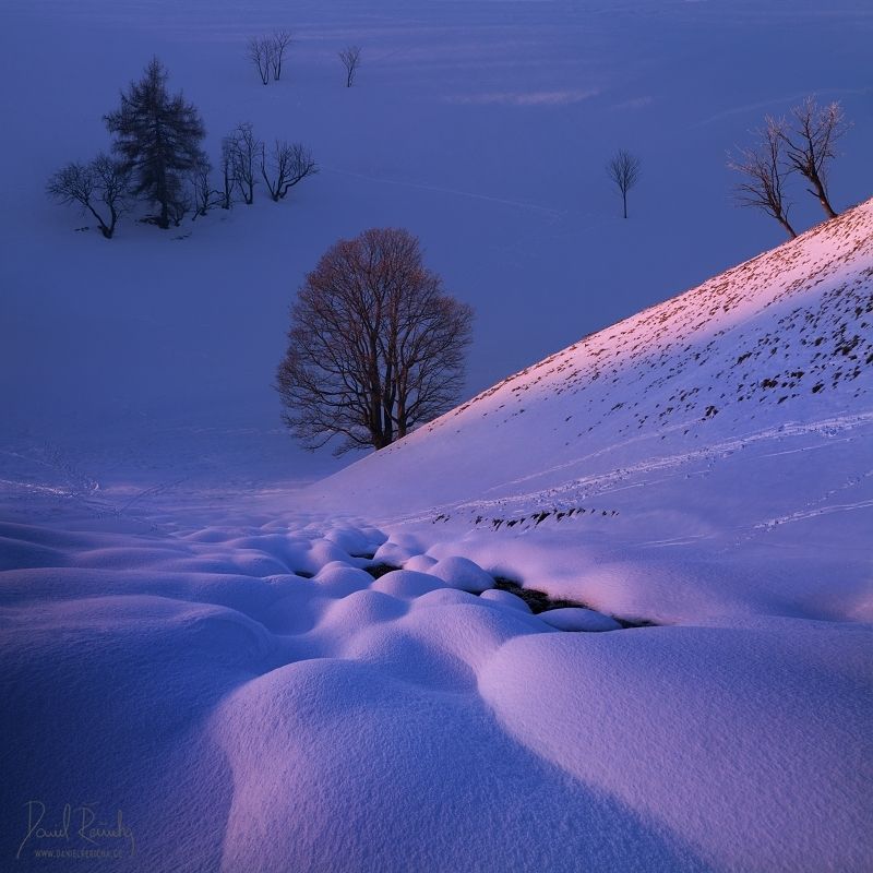 Czech republic, North Bohemia, Bohemia, Czech, Tschechische republik, Česká republika,  Ore mountains, Krušné hory, Erzgebirge, Europe, daniel rericha, trees, winter, frozen,  winter colors, snow, frost, evening, evening light, blue hour, mountains, valle Frosty evening in the mountain valleyphoto preview