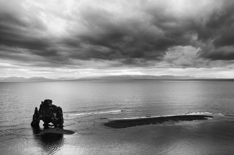 Слонphoto preview