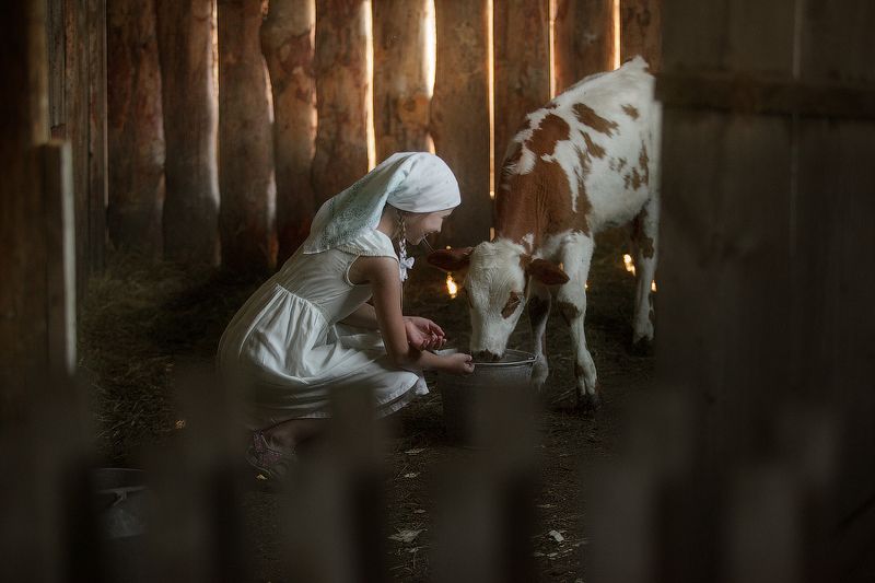 деи, корова,деревня,хозяйство,Алтай,корм,радость,детство,бабушка,село,отдых,путешествие,животные, Утро Настасьи!photo preview