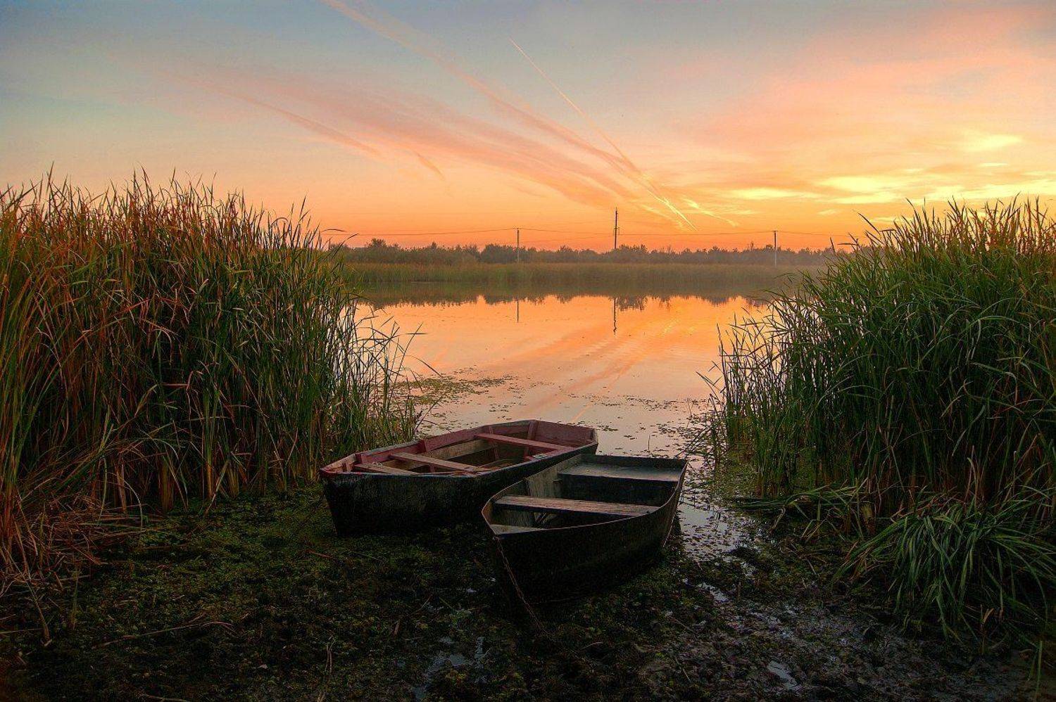 Закат у реки.. Автор: Марина Соколова , Марина Соколова