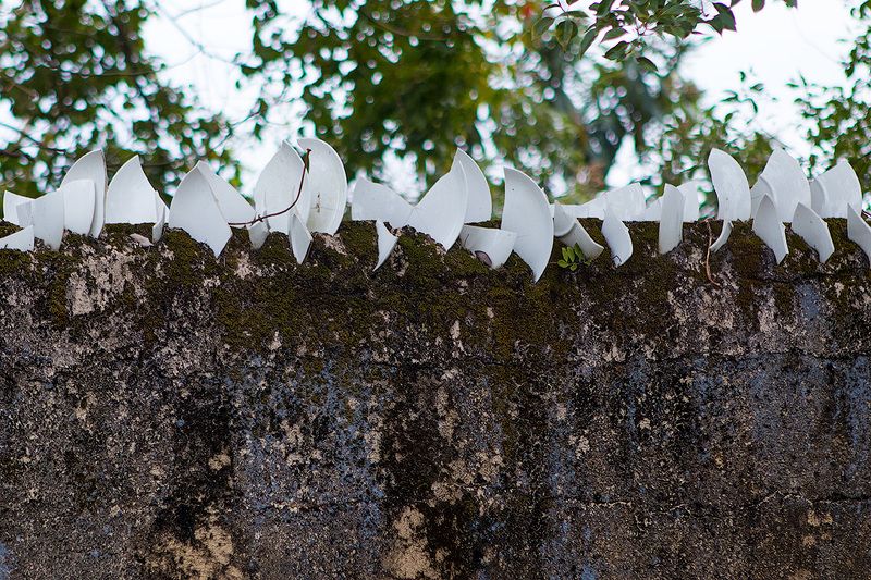 china, asia, 2018, chinese, guangdong, alt, alted, История одной белой тарелкиphoto preview