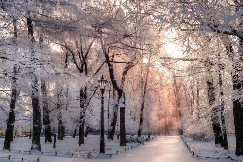 Ажурная зимаphoto preview