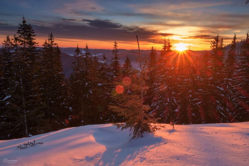 snow., mountain, .glacier.evergreen, .snowfall., ridge, .snowy., slope, .mountain., peak., mountain., range., snowcapped., mt, foraker. ***photo preview