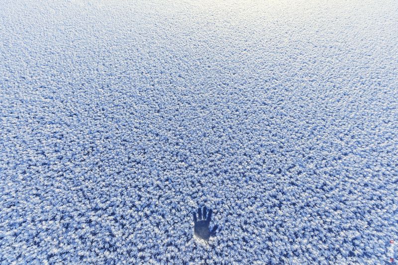 До свидания, зимаphoto preview