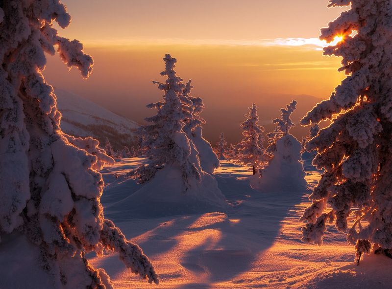 Приглашениеphoto preview