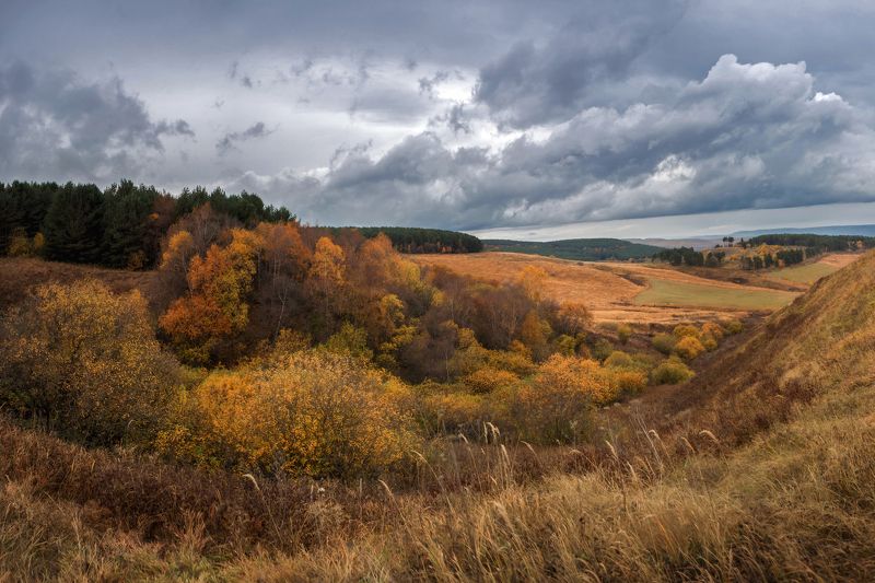 осень , кисловодск , Осень ... фото превью