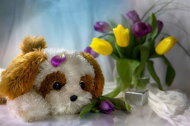 С Праздником, девчонки!photo preview