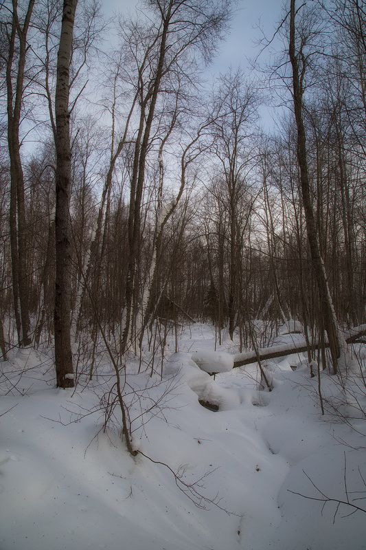 ********photo preview