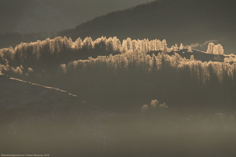 тигирек, алтай, тайга, сибирь, иней, зима В контреphoto preview