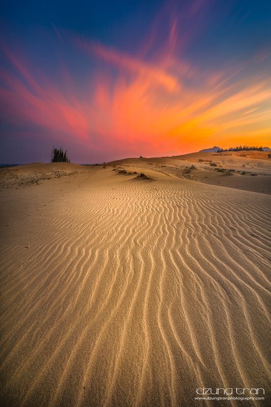 Phoenixphoto preview