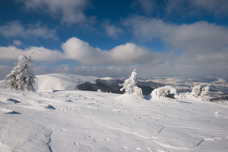 Зимнее настроениеphoto preview