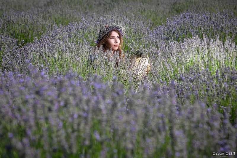 Lavander Lavander Gardenphoto preview