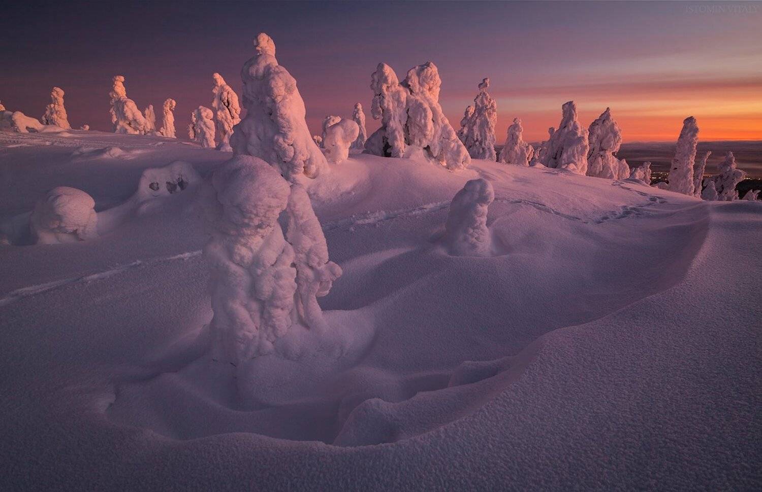 Царство снега. Автор: Виталий Истомин Пейзаж,россия,кандалакша,зима,февраль,небо,цвет,свет,сумерки,тропинка, Виталий Истомин