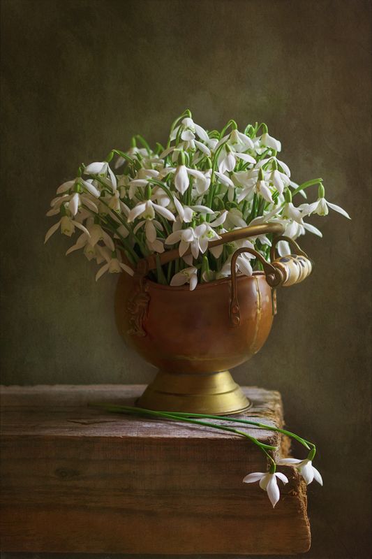 весна, подснежники, натюрморт, spring, snowdrops, still life Весна...photo preview