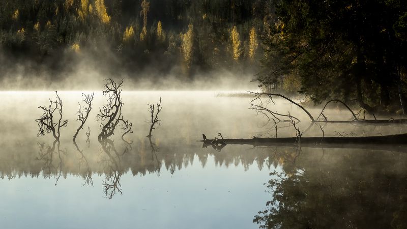 Fallen...photo preview