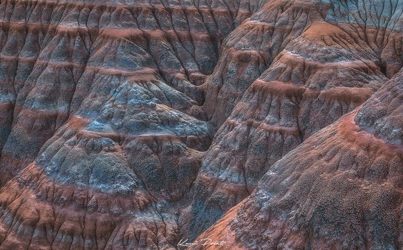 Art of the naturephoto preview