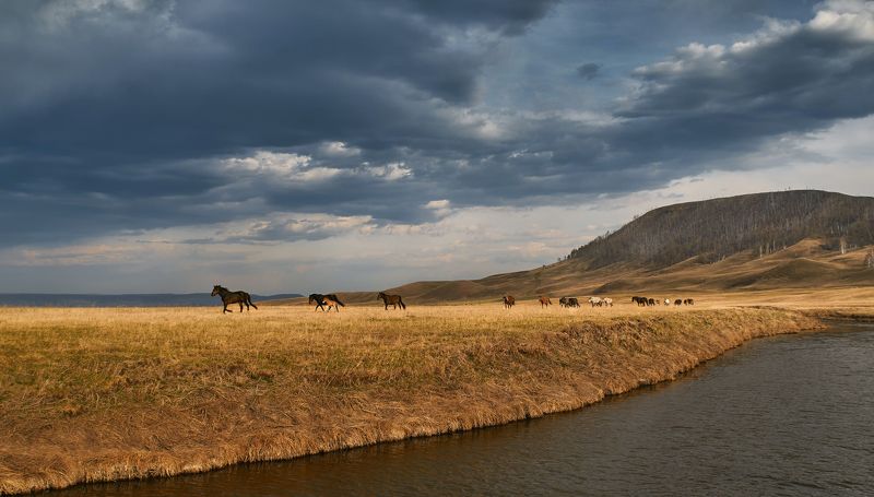 порфолиоphoto preview