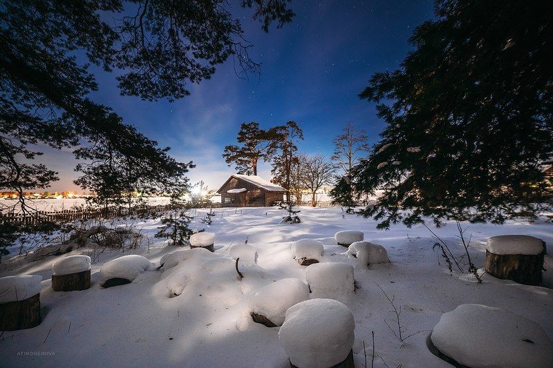 зима, свет, снег, дом, небо, звезды, лес Под Лунойphoto preview