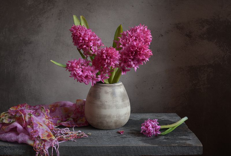 елена белова, натюрморт Пора гиацинтовphoto preview