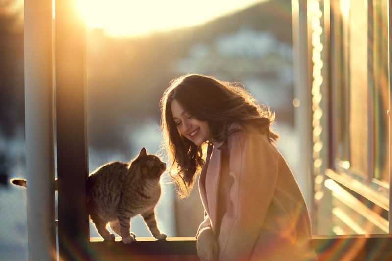 Солнечнаяphoto preview