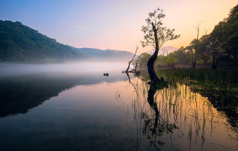 Dancing in the Fogphoto preview