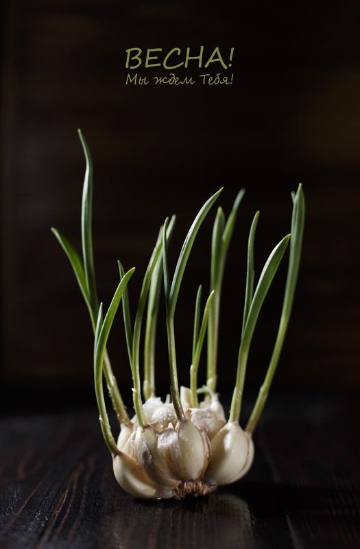 Ожиданиеphoto preview