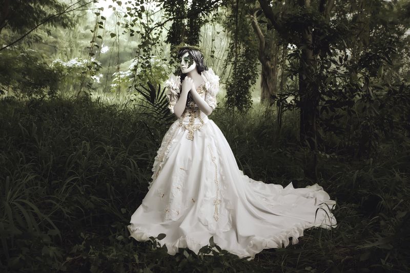 Journeyphoto preview