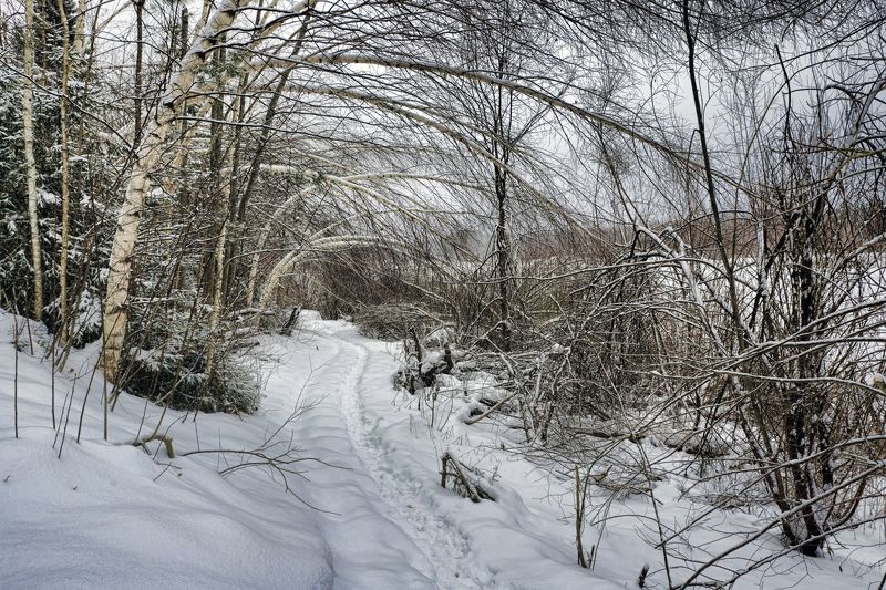 Пейзаж,зима,лес.тропа. Прощай, зима!photo preview