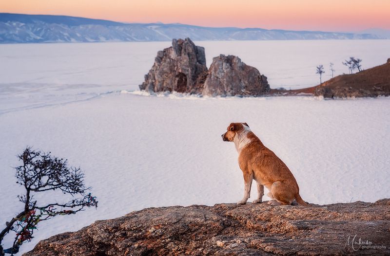 ольхон, байкал, пейзаж остров Ольхон. Байкалphoto preview