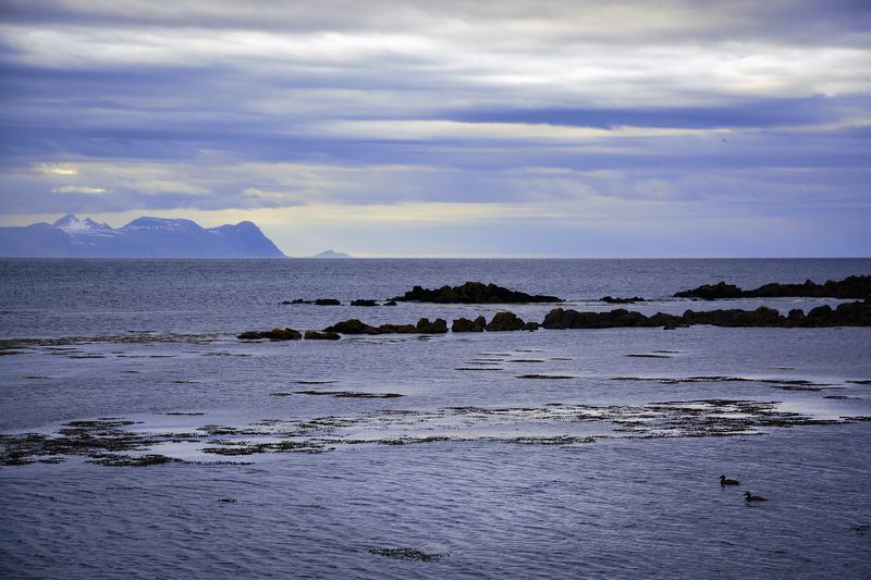 На берегуphoto preview