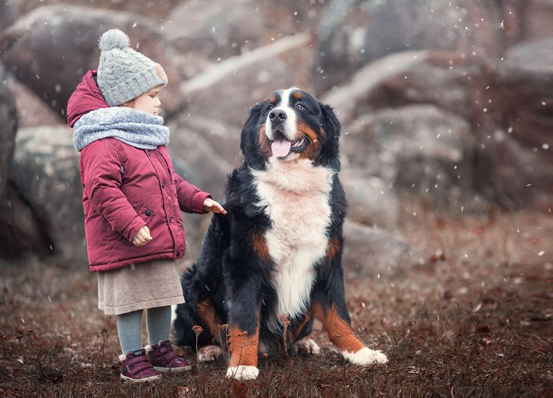 собака, ребенок, друг, осень, снег, коричневый, друзья, разговор Лучший другphoto preview