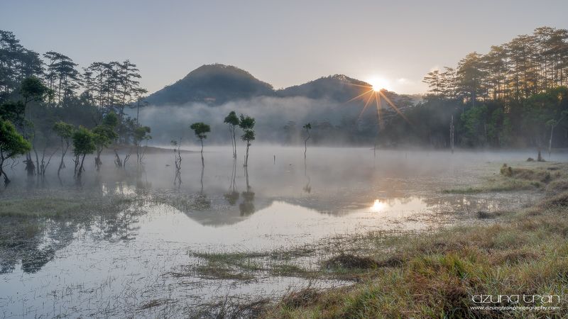 First lightphoto preview