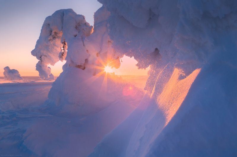 финляндия, лапландия, снег, ветер, холод, лес, солнце, путешествия, рассвет, закат, луч, солнце, мороз, зима, новый, год, lapland, finland, sky, cold, snow, wind, travel, explore, outdoore, trees, forest, light, sun. sunset, sunrise Морозное утроphoto preview