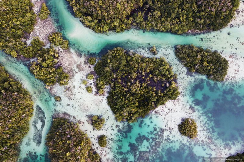 папуа, дрон, западная_папуа, джунгли, westpapua, west_papua, insonesia, индонезия West Papuaphoto preview