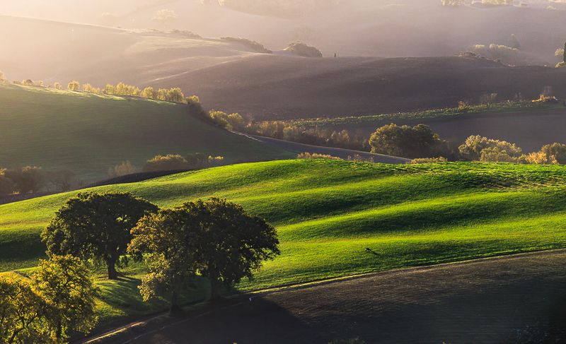 Поля Тосканыphoto preview