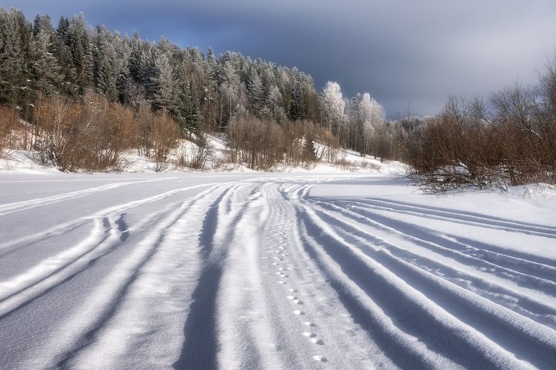 зима март лес иней река следы тени Рассыпался веер следовphoto preview